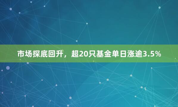 市场探底回升，超20只基金单日涨逾3.5%