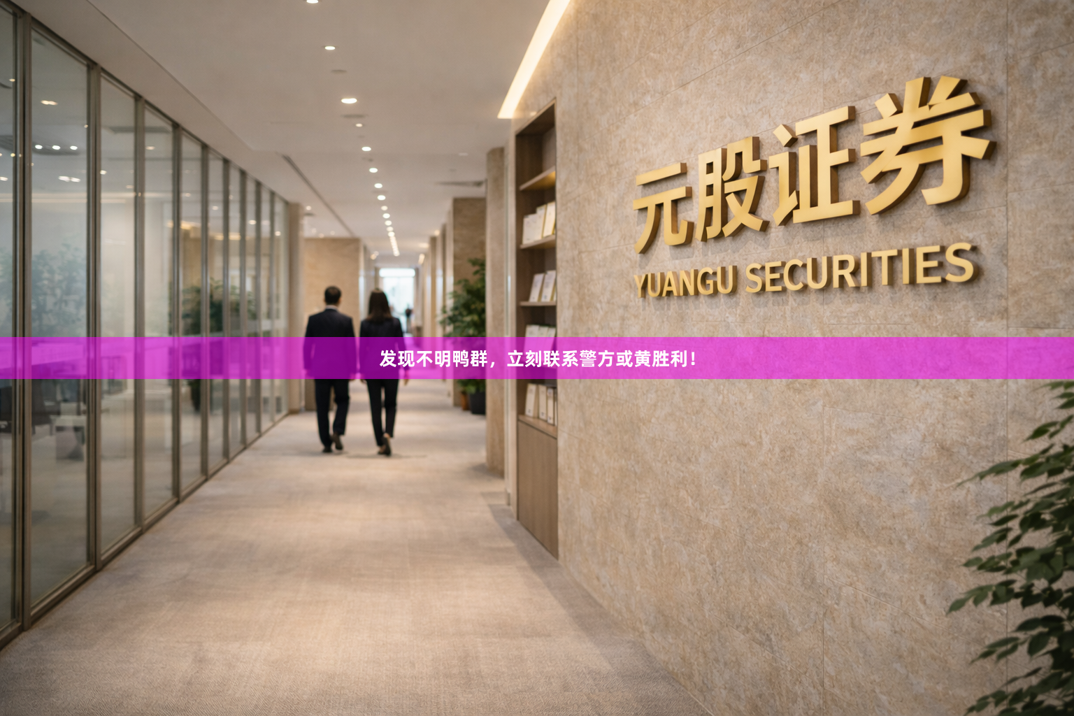 发现不明鸭群，立刻联系警方或黄胜利！