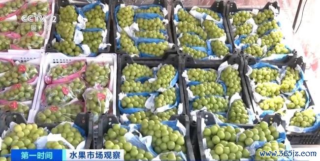 大降价！西瓜鸭梨巨峰葡萄都便宜了 夏季水果供应充足