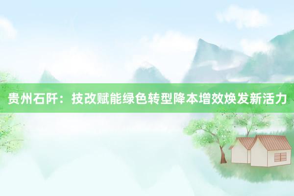 贵州石阡:技改赋能绿色转型降本增效焕发新活力