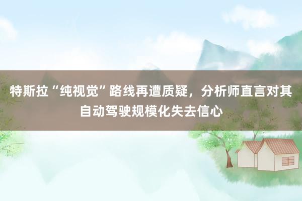 特斯拉“纯视觉”路线再遭质疑，分析师直言对其自动驾驶规模化失去信心