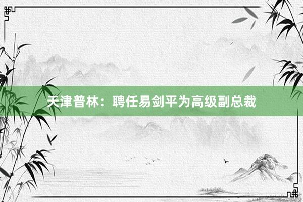 天津普林：聘任易剑平为高级副总裁