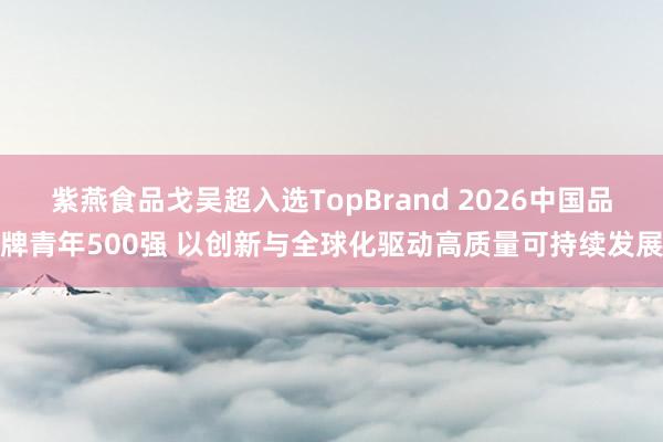 紫燕食品戈吴超入选TopBrand 2026中国品牌青年500强 以创新与全球化驱动高质量可持续发展