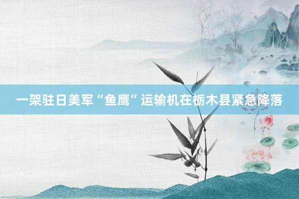 一架驻日美军“鱼鹰”运输机在栃木县紧急降落
