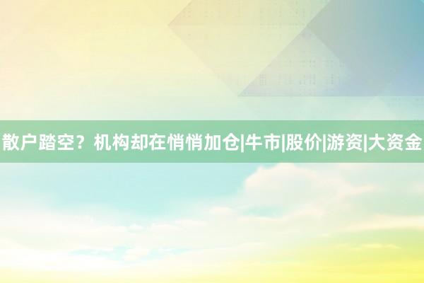 散户踏空？机构却在悄悄加仓|牛市|股价|游资|大资金