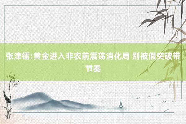 张津镭:黄金进入非农前震荡消化局 别被假突破带节奏