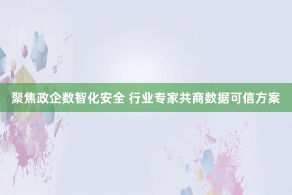 聚焦政企数智化安全 行业专家共商数据可信方案