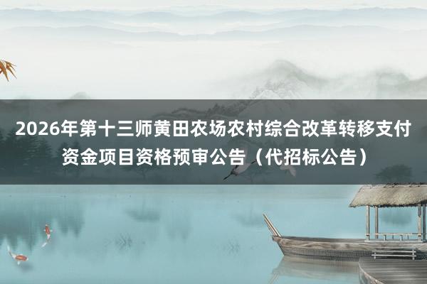2026年第十三师黄田农场农村综合改革转移支付资金项目资格预审公告（代招标公告）