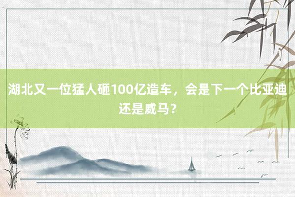 湖北又一位猛人砸100亿造车，会是下一个比亚迪还是威马？