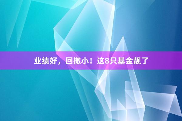 业绩好，回撤小！这8只基金靓了