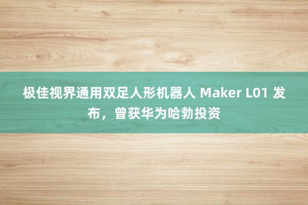 极佳视界通用双足人形机器人 Maker L01 发布，曾获华为哈勃投资