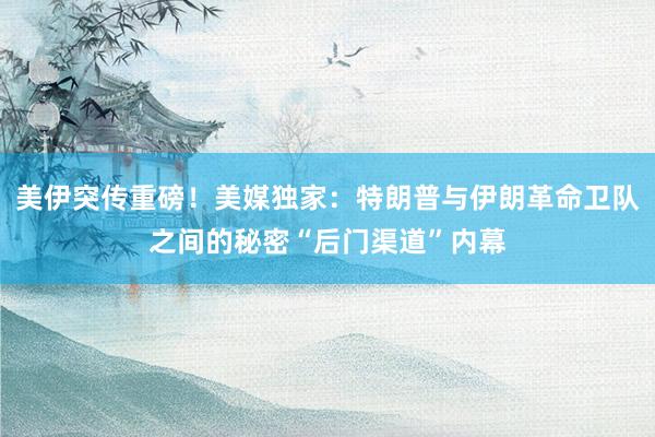 美伊突传重磅！美媒独家：特朗普与伊朗革命卫队之间的秘密“后门渠道”内幕