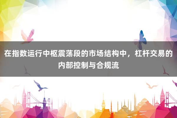 在指数运行中枢震荡段的市场结构中，杠杆交易的内部控制与合规流