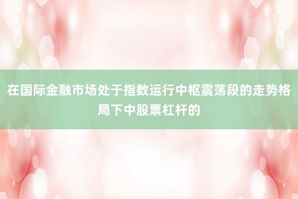 在国际金融市场处于指数运行中枢震荡段的走势格局下中股票杠杆的