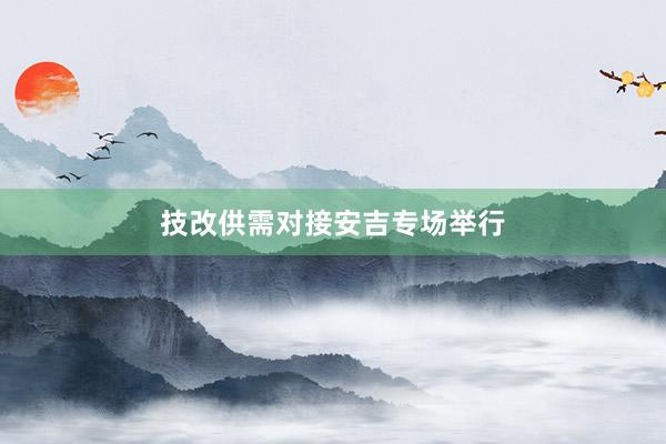 技改供需对接安吉专场举行