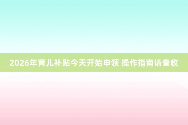 2026年育儿补贴今天开始申领 操作指南请查收