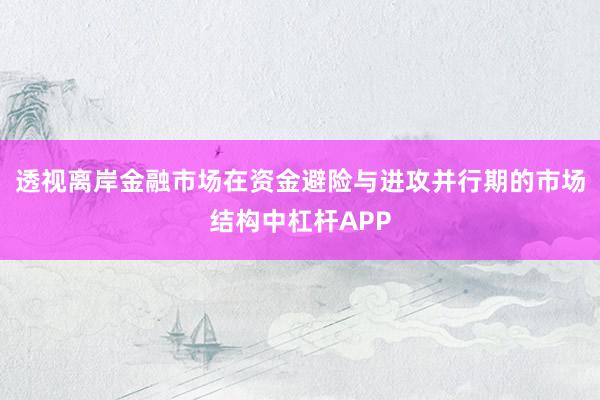 透视离岸金融市场在资金避险与进攻并行期的市场结构中杠杆APP