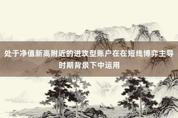 处于净值新高附近的进攻型账户在在短线博弈主导时期背景下中运用