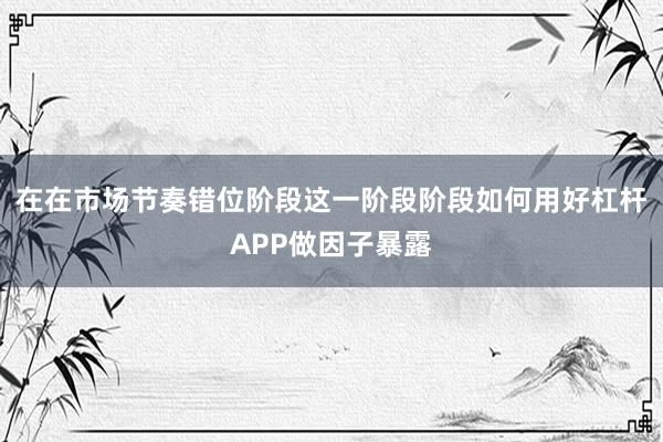 在在市场节奏错位阶段这一阶段阶段如何用好杠杆APP做因子暴露