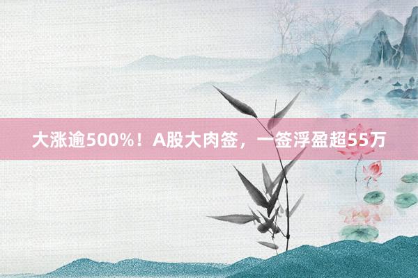 大涨逾500%！A股大肉签，一签浮盈超55万