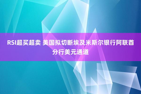 RSI超买超卖 美国拟切断埃及米斯尔银行阿联酋分行美元通道
