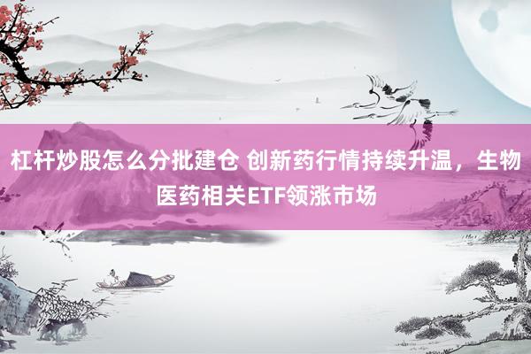 杠杆炒股怎么分批建仓 创新药行情持续升温，生物医药相关ETF领涨市场