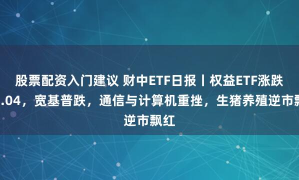 股票配资入门建议 财中ETF日报丨权益ETF涨跌比0.04，宽基普跌，通信与计算机重挫，生猪养殖逆市飘红