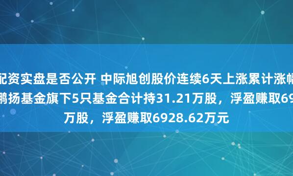 配资实盘是否公开 中际旭创股价连续6天上涨累计涨幅25.93%，鹏扬基金旗下5只基金合计持31.21万股，浮盈赚取6928.62万元