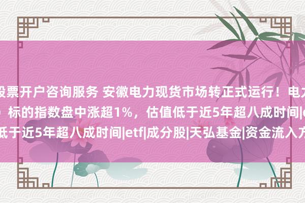 股票开户咨询服务 安徽电力现货市场转正式运行！电力ETF天弘（560450）标的指数盘中涨超1%，估值低于近5年超八成时间|etf|成分股|天弘基金|资金流入方面