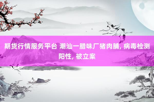 期货行情服务平台 潮汕一腊味厂猪肉脯, 病毒检测阳性, 被立案