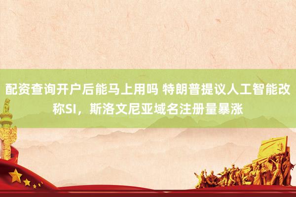 配资查询开户后能马上用吗 特朗普提议人工智能改称SI，斯洛文尼亚域名注册量暴涨