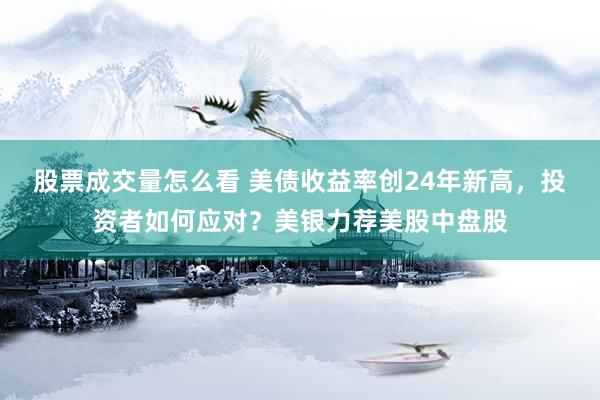 股票成交量怎么看 美债收益率创24年新高，投资者如何应对？美银力荐美股中盘股